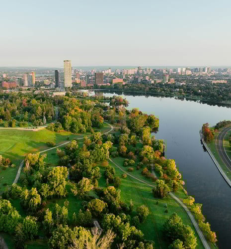 Aerial view of a lush green park with winding paths beside a calm river, urban skyline in the background. The scene is tranquil and expansive.