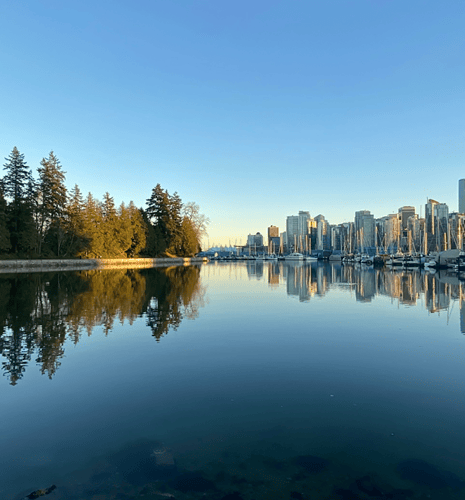 A skyline of a lush forest  meeting high rise city buildings.