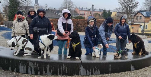Christa Reisenbichler - Work Walk Play | Barbetzucht | Hundetraining | Therapiebegleithunde | Assistenzhundeausbildung in Bad Ischl