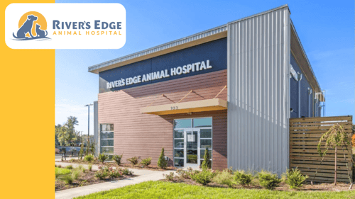 River's Edge Animal Hospital Exterior