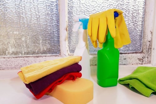 Cleaning supplies including spray bottles, microfiber cloths, sponges, and rubber gloves on a window sill with visible black mold growth.