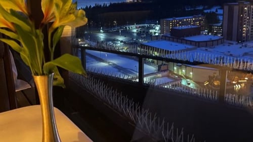 Friday's Station Steak & Seafood Grill at Harrah's Lake Tahoe features certified Angus and USDA Choice beef, ocean-fresh seafood, and enticing side dishes. Every dining experience is complemented by exceptional hospitality and breathtaking views of Lake Tahoe and the surrounding Sierra Nevadas. A fine dining restaurant located atop Harrah’s hotel tower, Friday’s Station features a dramatic entrance and an impressive 1000-bottle wine cellar on full display. The dining room’s sweeping windows treat you to scenic views of Lake Tahoe, completing the elegant ambiance.