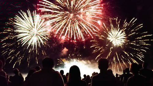 A crowd of people watching fireworks light up the night sky, celebrating the 4th of July with excitement.