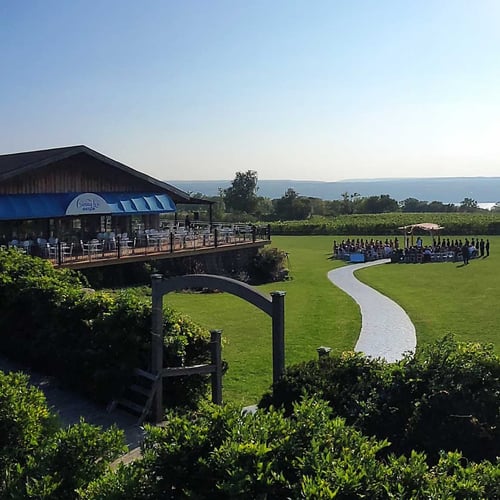 A photo of a wedding taking place on the lawn of the Ginny Lee Cafe overlooking the vineyards and Seneca Lake.