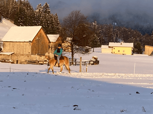 Lucky Horse Ranch in Thüringen