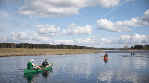 group of clients riding canoes on the river