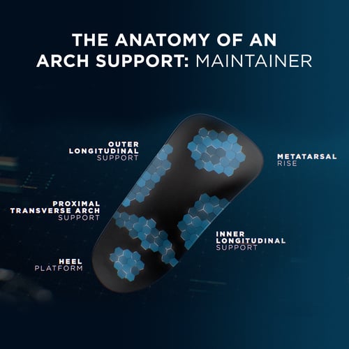 the anatomy of an arch support maintainer