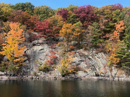 Fall colours