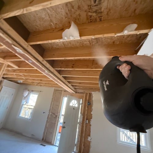 Treating wood to prevent mold growth and damage