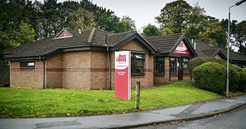 Busy Bees in East Kilbride - Gallery Photo