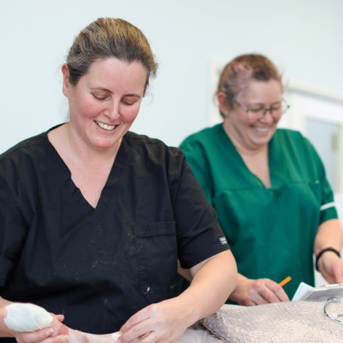 Weighbridge Referrals Nurse and Vet