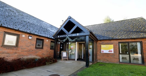 Busy Bees in Telford - Gallery Photo