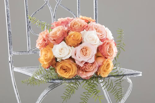 Rosengrüsse , Blumen Fleischli