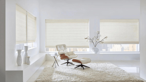 living room with white shades