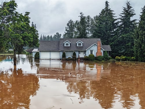 storm damage restoration rock hill