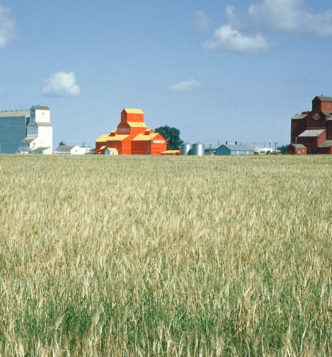 Golden wheat fields stretch across the foreground, with colorful grain elevators in the distance under a blue sky dotted with white clouds.