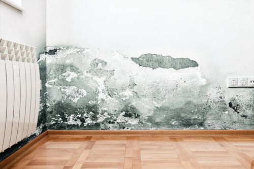 What Is Humidity Bloom and How Does It Affect Florida Vacation Homes?