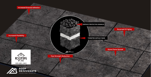 roof with graph of repairs