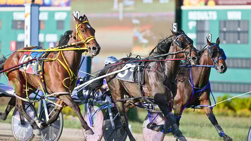 Racing at The Shoe Lounge at Harrah's Hoosier Park.