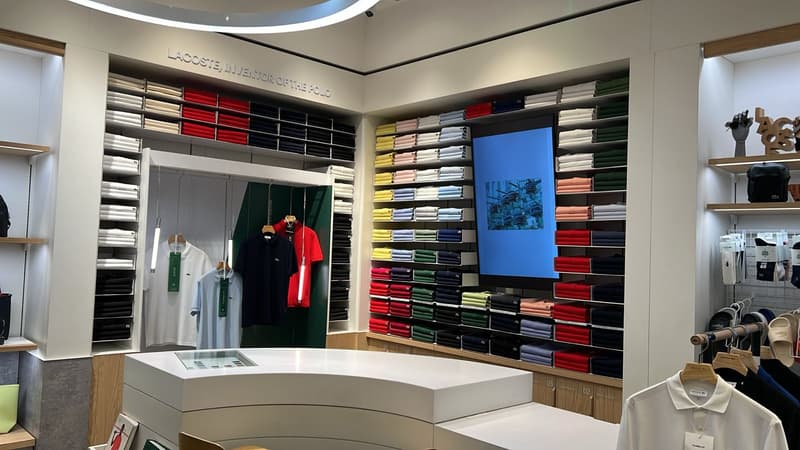 Polo Area