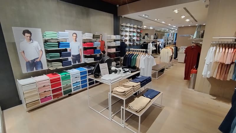 Polo Area