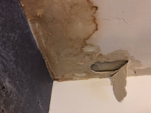 Water-damaged ceiling corner with brown stains, peeling paint, and exposed drywall from a leak.