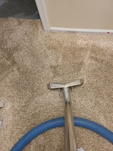 Northeast Power Dry - Water Damage & Water Removal Services