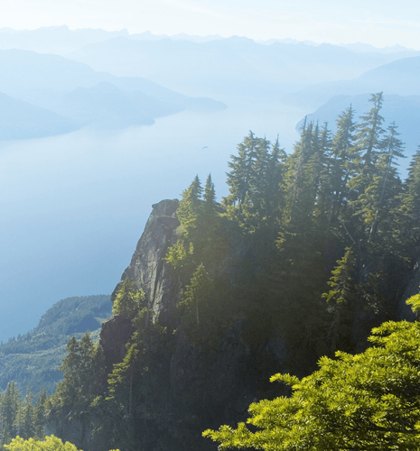 A scenic view of a rocky cliff surrounded by lush green trees, overlooking a tranquil blue body of water and distant mountains.