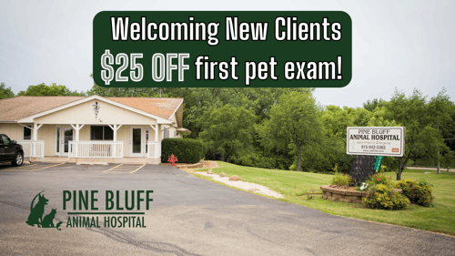 Pine Bluff Animal Hospital Building