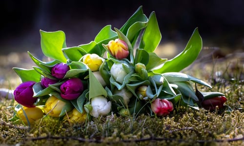 Blumen-Abos