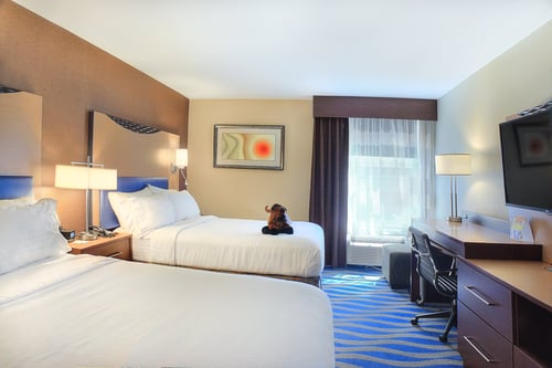 Double Bed Guest Room