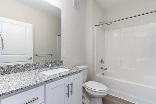 Bathroom at The Banks at Bridgewater Apartments, South Carolina