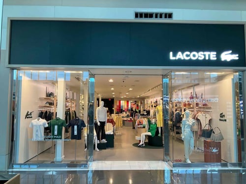 Overall View - Windows (Hero Image)