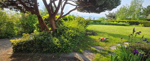 Entretien jardin