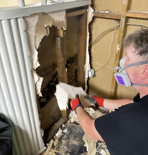 Why Immediate Flooded Basement Restoration Is Critical