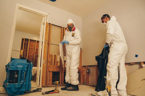 Mold Damage Restoration