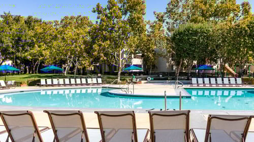 A pool surrounded by trees and chairs at The Woods Apartments, San Jose