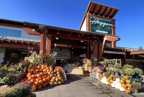 haggen grocery store