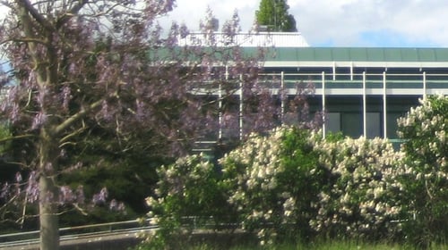 Kerschensteinerschule: 30+ Berufe, Technisches Gymnasium, 2200 Schüler, erfahrene Lehrer, moderne Ausstattung.