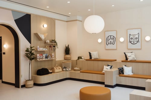 alexandria dc virginia maryland bond vet  lobby staff friendly warm compassionate