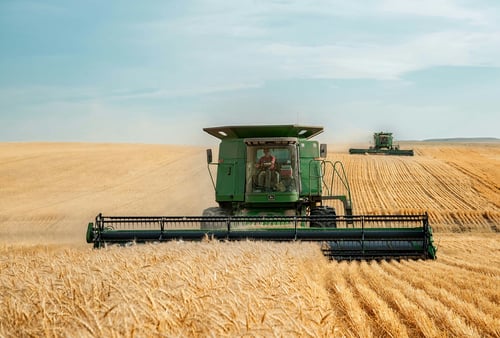 A green combine harvester operating in a large golden wheat field under a clear blue sky, with a second harvester visible in the background, representing modern agricultural operations and crop harvesting.