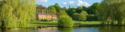 Knight Frank Esher Estate Agents - office page banner image