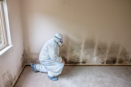 mold remediation baton rouge