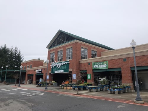 Haggen grocery store