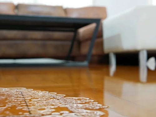 Water Damage in Homes