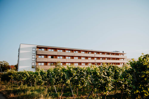 Blick auf Sonnenhotel Weingut Römmert in den Weinbergen im Sommer