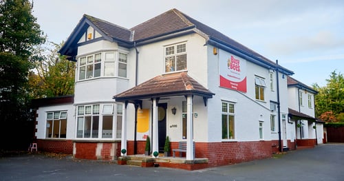 Busy Bees at Harrogate Pannal Ash - Gallery Photo