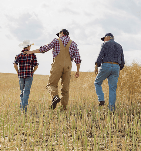 A child, an adult, and an older man walk through a dry field wearing plaid shirts and hats. The scene exudes warmth and generational connection.