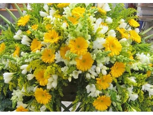 Blumen Christa Rubenzucker in Gmunden