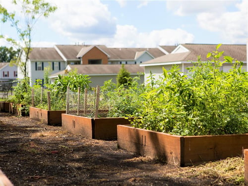 Garden at Dooley's Orchard, Ohio, 43035